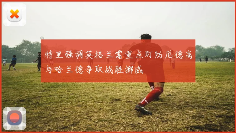特里强调英格兰需重点盯防厄德高与哈兰德争取战胜挪威
